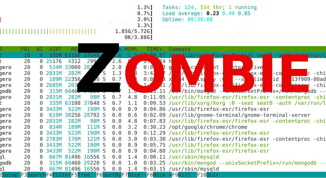 Stop ai processi Zombie – I parte Stop ai processi Zombie – I parte
