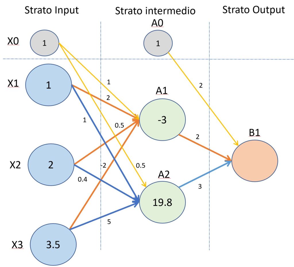 Il trasferimento dei valori della rete neurale: dai valori di input ai valori di output: lo strato intermedio. Il processo di "forward propagation".